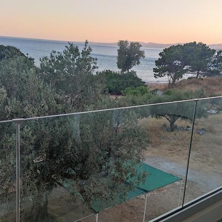 Tesoro Del Mare Διαμέρισμα Πεύκος Εξωτερικό φωτογραφία